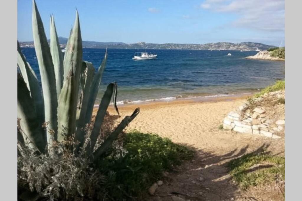 Апартаменти Casa Maddalenina Con Giardino, Vicino Al Mare! Ла-Маддалена Екстер'єр фото